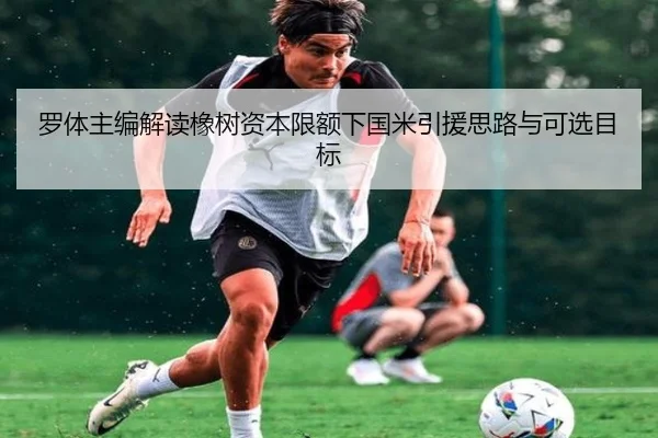 罗体主编解读橡树资本限额下国米引援思路与可选目标
